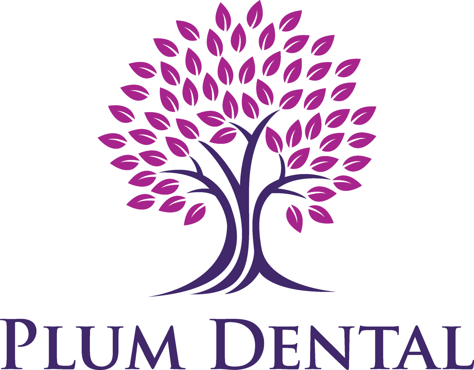 About Us - Plum Dental